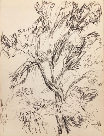 Untitled, 1953, black conte pencil on paper, 12 x 9 in. dated &quot;8-7-53&quot; verso