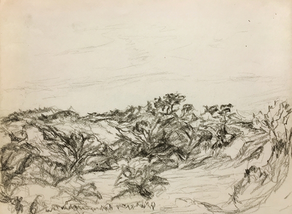 Myron Stout landscape drawing